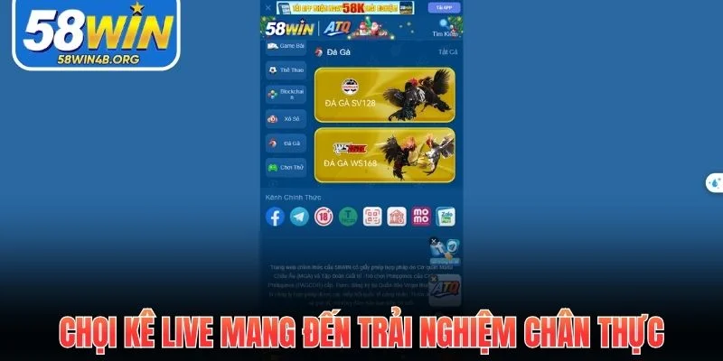 Đá Gà - Sức Hút Mãnh Liệt Từ Những Trận Đấu Gay Cấn Nhất 1 choi ke live mang den trai nghiem chan thuc 1