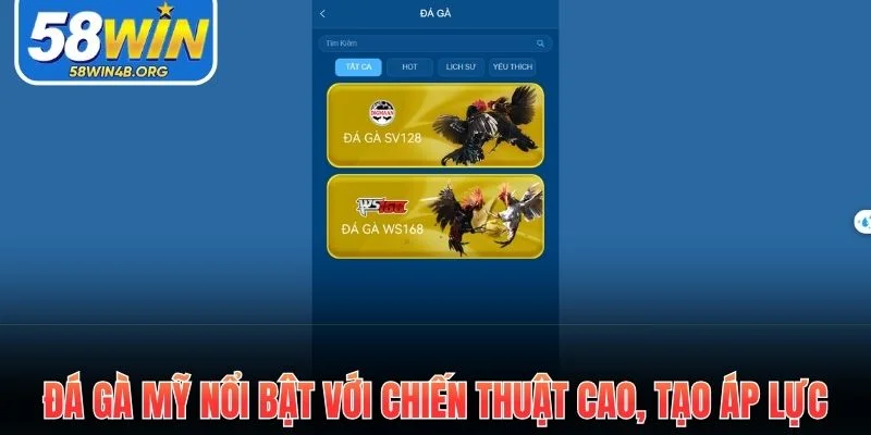 Đá Gà - Sức Hút Mãnh Liệt Từ Những Trận Đấu Gay Cấn Nhất 2 Đá gà